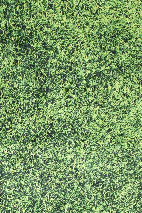 Conceptum Alfombra Grass Multicolor 160 x 230 cm